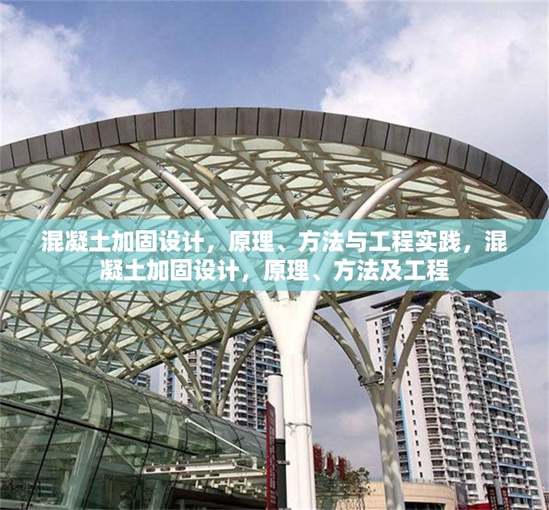 混凝土加固設(shè)計(jì)，原理、方法與工程實(shí)踐，混凝土加固設(shè)計(jì)，原理、方法及工程