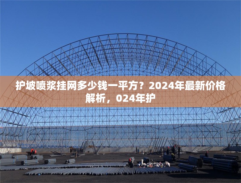 護(hù)坡噴漿掛網(wǎng)多少錢一平方？2024年最新價(jià)格解析，024年護(hù) 行業(yè)新聞