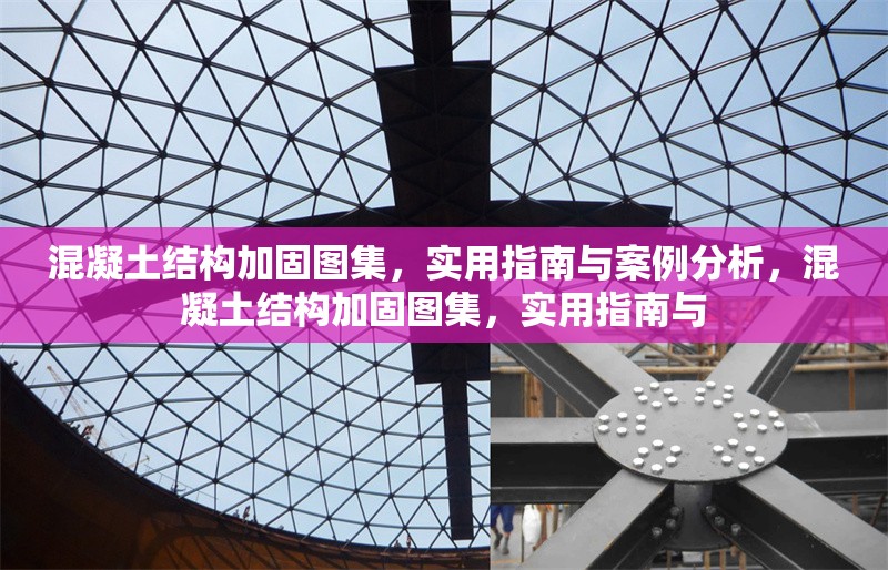 混凝土結構加固圖集，實用指南與案例分析，混凝土結構加固圖集，實用指南與