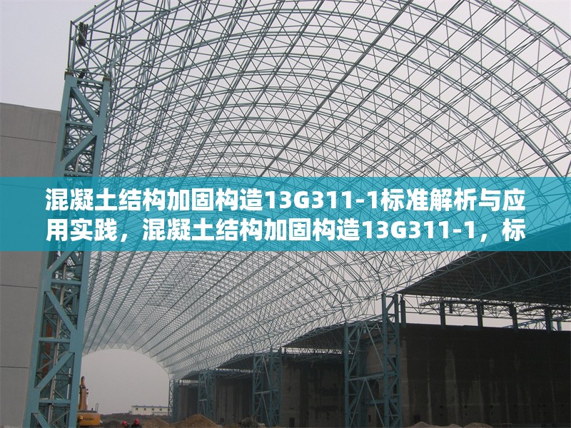 混凝土結(jié)構(gòu)加固構(gòu)造13G311-1標準解析與應用實踐，混凝土結(jié)構(gòu)加固構(gòu)造13G311-1，標準深度解析及實踐應用指南