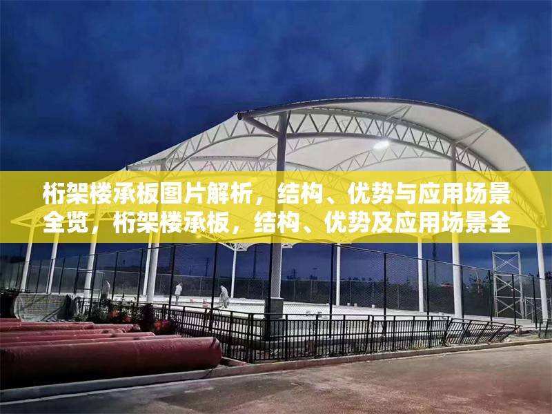 桁架樓承板圖片解析，結(jié)構(gòu)、優(yōu)勢與應(yīng)用場景全覽，桁架樓承板，結(jié)構(gòu)、優(yōu)勢及應(yīng)用場景全解析（