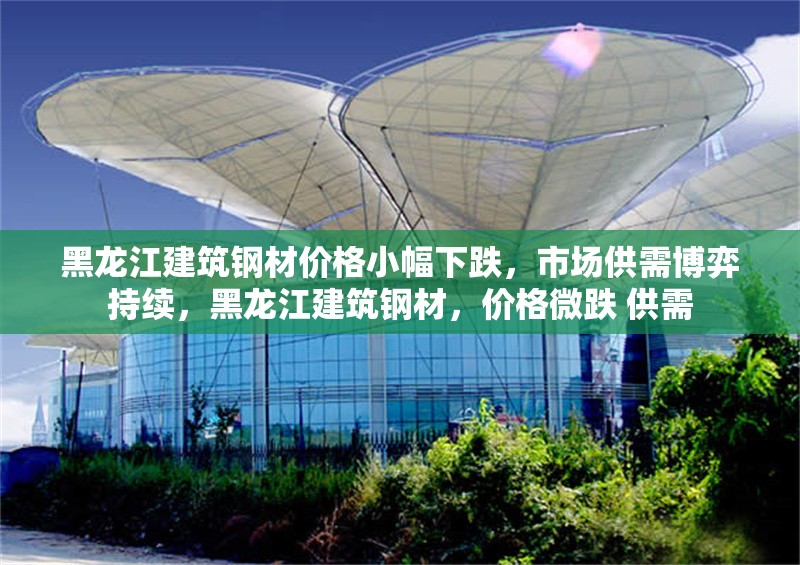 黑龍江建筑鋼材價(jià)格小幅下跌，市場(chǎng)供需博弈持續(xù)，黑龍江建筑鋼材，價(jià)格微跌 供需 行業(yè)新聞