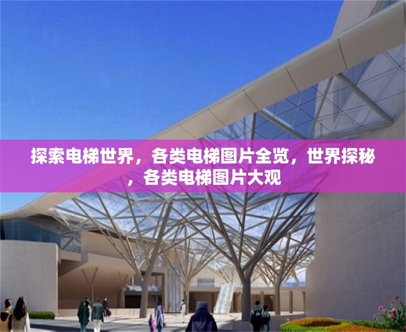 探索電梯世界，各類電梯圖片全覽，世界探秘，各類電梯圖片大觀 行業(yè)新聞