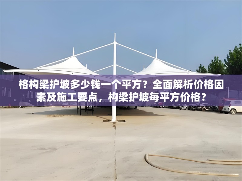 格構梁護坡多少錢一個平方？全面解析價格因素及施工要點，構梁護坡每平方價格？