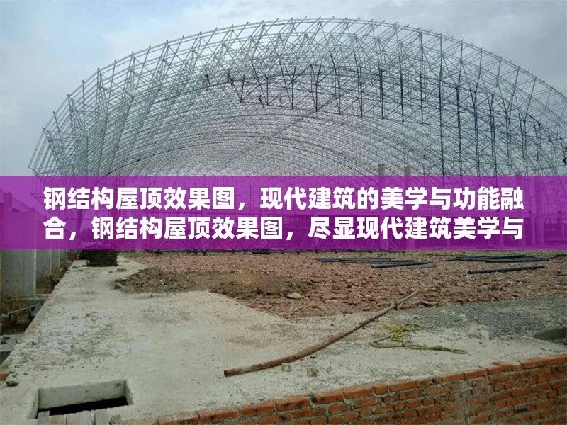 鋼結(jié)構(gòu)屋頂效果圖，現(xiàn)代建筑的美學(xué)與功能融合，鋼結(jié)構(gòu)屋頂效果圖，盡顯現(xiàn)代建筑美學(xué)與