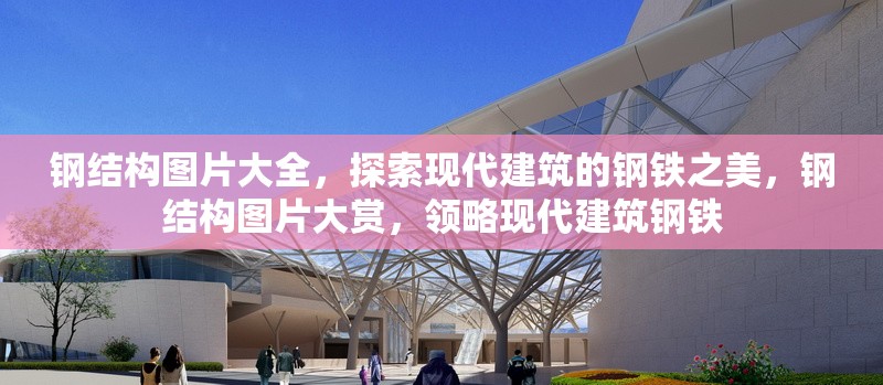 鋼結(jié)構(gòu)圖片大全，探索現(xiàn)代建筑的鋼鐵之美，鋼結(jié)構(gòu)圖片大賞，領(lǐng)略現(xiàn)代建筑鋼鐵