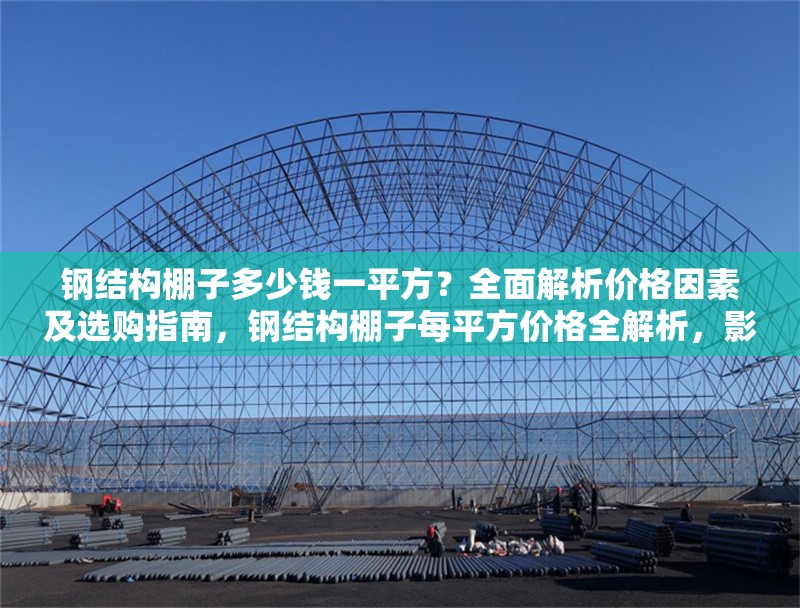 鋼結構棚子多少錢一平方？全面解析價格因素及選購指南，鋼結構棚子每平方價格全解析，影響因素與選購要點