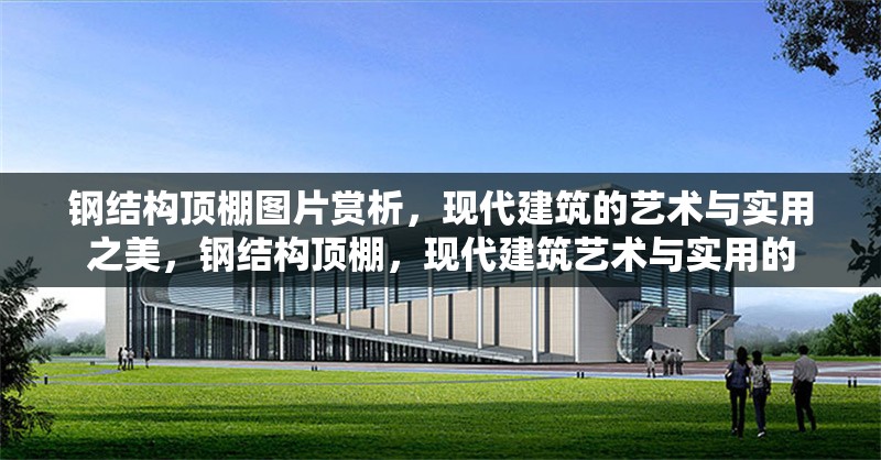 鋼結(jié)構(gòu)頂棚圖片賞析，現(xiàn)代建筑的藝術(shù)與實(shí)用之美，鋼結(jié)構(gòu)頂棚，現(xiàn)代建筑藝術(shù)與實(shí)用的 行業(yè)新聞
