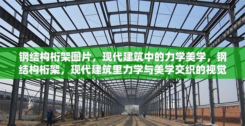 鋼結(jié)構(gòu)桁架圖片，現(xiàn)代建筑中的力學(xué)美學(xué)，鋼結(jié)構(gòu)桁架，現(xiàn)代建筑里力學(xué)與美學(xué)交織的視覺呈現(xiàn)