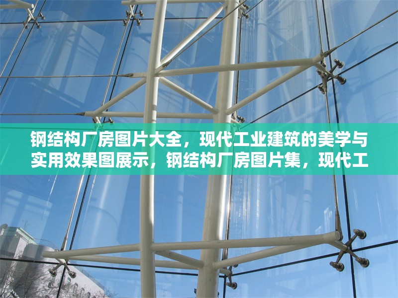 鋼結(jié)構(gòu)廠房圖片大全，現(xiàn)代工業(yè)建筑的美學(xué)與實(shí)用效果圖展示，鋼結(jié)構(gòu)廠房圖片集，現(xiàn)代工業(yè)建筑的美學(xué)與實(shí)用效果圖全