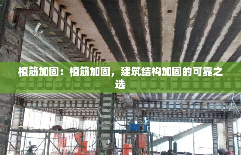 植筋加固：植筋加固，建筑結(jié)構(gòu)加固的可靠之選