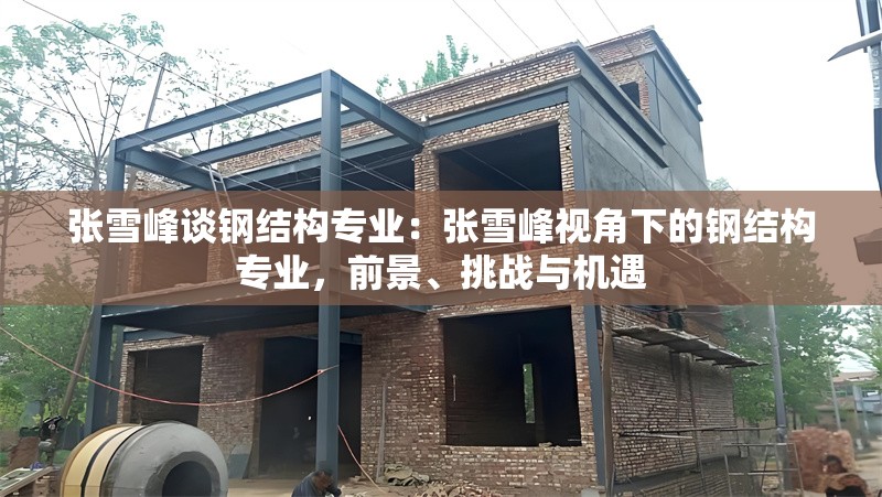 張雪峰談鋼結(jié)構(gòu)專業(yè)：張雪峰視角下的鋼結(jié)構(gòu)專業(yè)，前景、挑戰(zhàn)與機(jī)遇 行業(yè)新聞