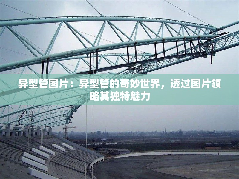 異型管圖片：異型管的奇妙世界，透過圖片領(lǐng)略其獨(dú)特魅力 行業(yè)新聞