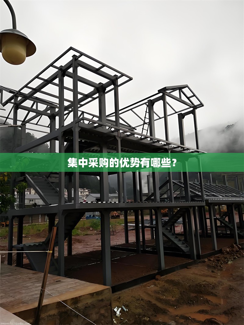 集中采購的優(yōu)勢有哪些？