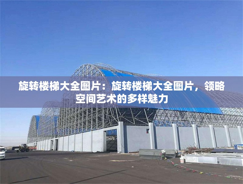 旋轉(zhuǎn)樓梯大全圖片：旋轉(zhuǎn)樓梯大全圖片，領(lǐng)略空間藝術(shù)的多樣魅力