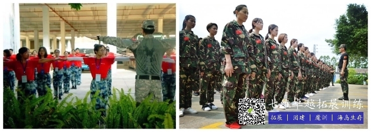 加固項目團隊建設(shè)技巧，加固項目團隊建設(shè)，實用技巧與策略