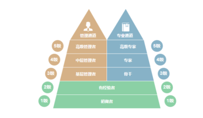加固公司職業(yè)發(fā)展路徑，加固公司職業(yè)發(fā)展路徑