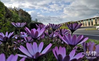 如何選擇專業(yè)的評估機(jī)構(gòu)，專業(yè)評估機(jī)構(gòu)挑選指南，關(guān)鍵要素與