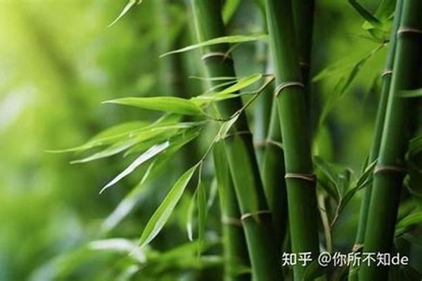 如何在廠房布局中融入環(huán)保理念，廠房布局中環(huán)保理念的融入策略與