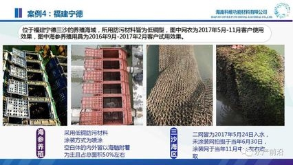 生物基復(fù)合材料加固案例，生物基復(fù)合材料加固案例，創(chuàng)新應(yīng)用與 行業(yè)新聞 第2張