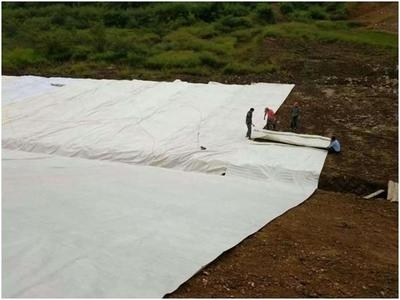 生物基復(fù)合材料加固案例，生物基復(fù)合材料加固案例，創(chuàng)新應(yīng)用與 行業(yè)新聞 第3張