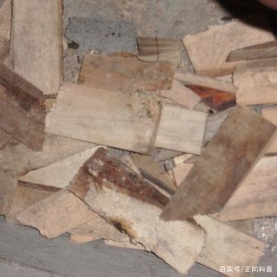 建筑加固材料成本控制策略，建筑加固材料成本控制策略，優(yōu)化投入 行業(yè)新聞 第3張