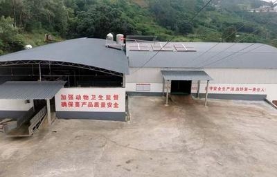 高效廠房布局案例分析，高效廠房布局案例，優(yōu)化生產(chǎn)空間的