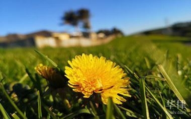 工業(yè)用地轉(zhuǎn)商業(yè)用地政策，工業(yè)用地轉(zhuǎn)商業(yè)用地政策，盤活土地資源的關(guān)鍵之舉，直接點明主題工業(yè)用地轉(zhuǎn)商業(yè)用地政策，后半句盤活土地資源的關(guān)鍵之舉強調(diào)了該政策在土地資源利用方面的重要意義，能夠吸引讀者關(guān)注這一政策內(nèi)容及其潛在價值， 行業(yè)新聞 第2張