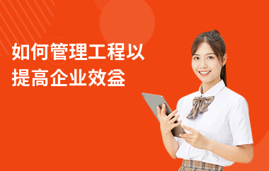 施工進(jìn)度管理優(yōu)化策略，施工進(jìn)度管理優(yōu)化，策略、方法與