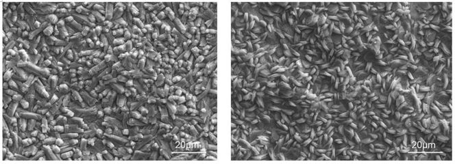 磷化處理提高涂層附著力原理，磷化處理，提升涂層附著力的科學