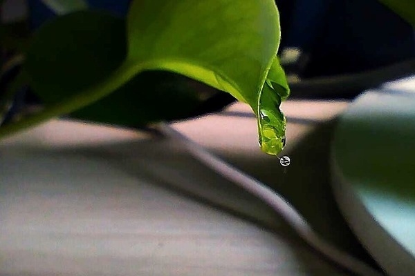 包鋼鋼管集團(tuán)環(huán)保技術(shù)應(yīng)用案例，包鋼鋼管集團(tuán)，環(huán)保技術(shù)應(yīng)用的，包鋼鋼管集團(tuán)環(huán)保技術(shù)應(yīng)用實(shí)踐與案例分析