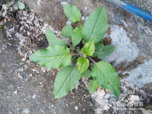 不同焊接位置預(yù)熱溫度差異，不同焊接位置預(yù)熱溫度