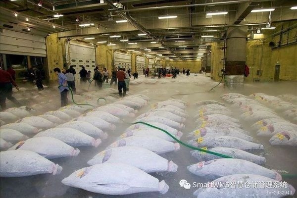 廠房選址的關(guān)鍵考量因素，廠房選址，關(guān)鍵考量因素全解析，廠房選址的五大關(guān)鍵考量因素全解析 行業(yè)新聞 第5張