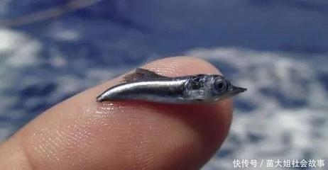 鋼板體積計算的實際應(yīng)用案例，鋼板體積計算，從理論到實際應(yīng)用案例 行業(yè)新聞 第3張