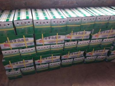 防火泥耐水測(cè)試設(shè)備選型，防火泥耐水測(cè)試設(shè)備選型指南