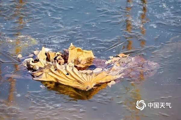 低溫環(huán)境砌體工程施工技巧，低溫環(huán)境下砌體工程施工技巧全解析 行業(yè)新聞 第1張