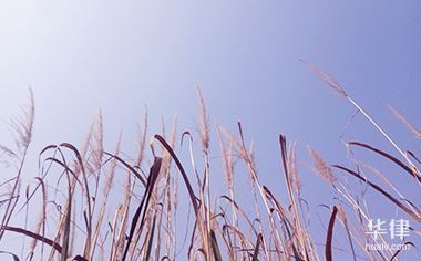 廠房資產(chǎn)減值跡象識(shí)別方法，廠房資產(chǎn)減值跡象的精準(zhǔn)識(shí)別，方法 行業(yè)新聞 第1張