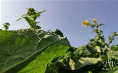 不同用途土地使用權(quán)年限對(duì)比，不同用途土地使用權(quán)年限大