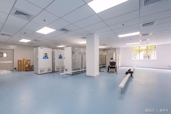 廠房裝修成本控制策略，廠房裝修成本控制策略，精打細算實現(xiàn)高效裝修