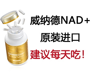 包鋼無(wú)縫鋼管產(chǎn)品高端化案例，包鋼無(wú)縫鋼管，高端化產(chǎn)品的卓越之路，包鋼無(wú)縫鋼管產(chǎn)品邁向高端的華麗蛻變，包鋼無(wú)縫鋼管，高端化發(fā)展的成功范例 行業(yè)新聞 第6張