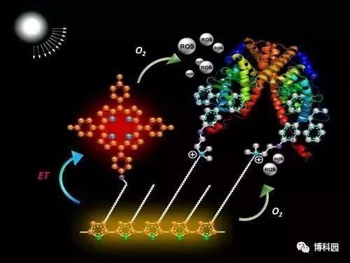 環(huán)氧樹脂兩布的耐腐蝕性能，環(huán)氧樹脂兩布耐腐蝕性能