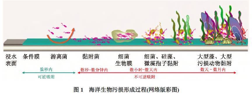 海洋環(huán)境下鋼板防腐技術(shù)，海洋環(huán)境下鋼板防腐技術(shù) 行業(yè)新聞 第4張