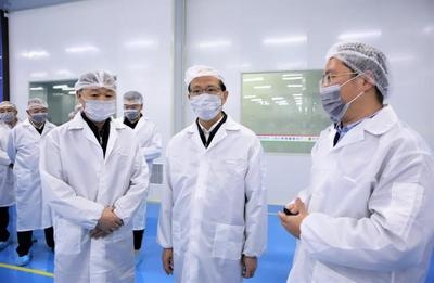 技術負責人如何提升團隊效率，技術負責人提升團隊效率的5大關鍵策略 行業(yè)新聞 第3張