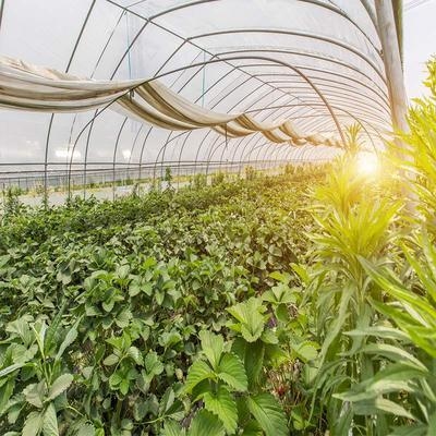 建筑病蟲(chóng)害監(jiān)測(cè)技術(shù)應(yīng)用，建筑病蟲(chóng)害智能監(jiān)測(cè)技術(shù)應(yīng)用研究