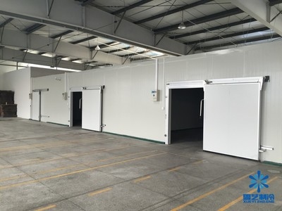 廠房設(shè)計(jì)細(xì)節(jié)優(yōu)化案例分析，廠房設(shè)計(jì)細(xì)節(jié)優(yōu)化實(shí)踐與成效分析