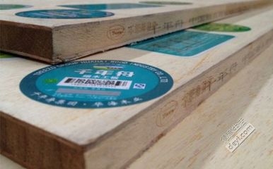 環(huán)保結(jié)構(gòu)膠粘劑選購(gòu)指南，環(huán)保結(jié)構(gòu)膠粘劑選購(gòu)指南，如何選擇安全耐用的環(huán)保膠粘劑 行業(yè)新聞 第5張