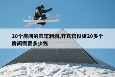 20間主題賓館投資費(fèi)用