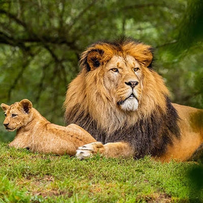 國內(nèi)酒店設(shè)計公司前十名排名 行業(yè)新聞 第5張 國內(nèi)酒店設(shè)計公司前十名排名 行業(yè)新聞 第5張