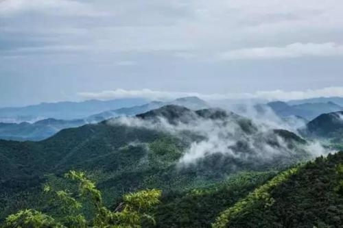 打造一間民宿多少錢(qián)