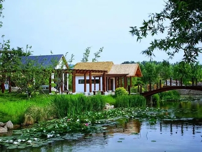 創(chuàng)意民宿設計方案ppt模板 行業(yè)新聞 第5張